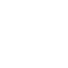 product icon